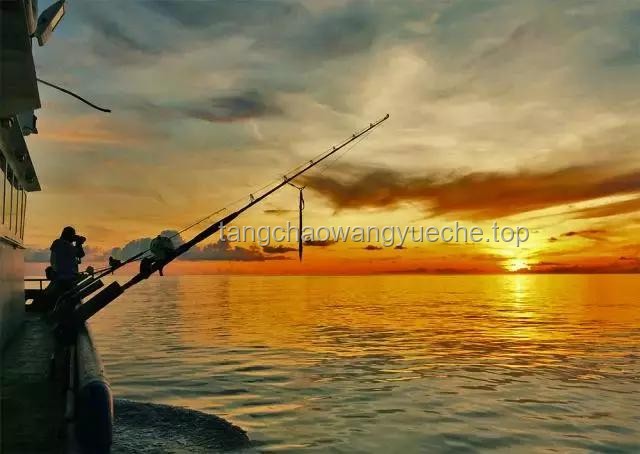 垂钓背后的生态警钟：创新监管与公众觉醒🌟,🌍,🎣,🔍,💡